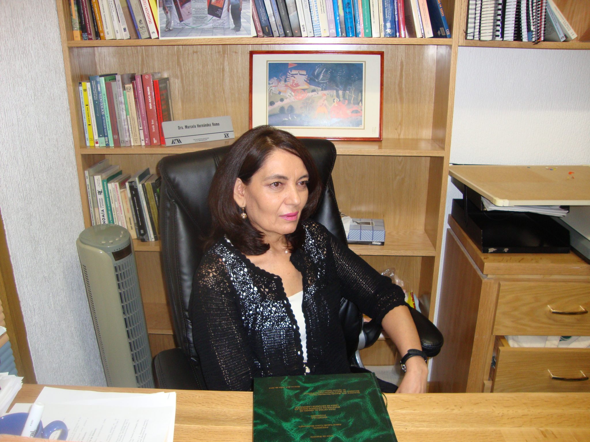 Marcela Hernández Romo SOTRAEM